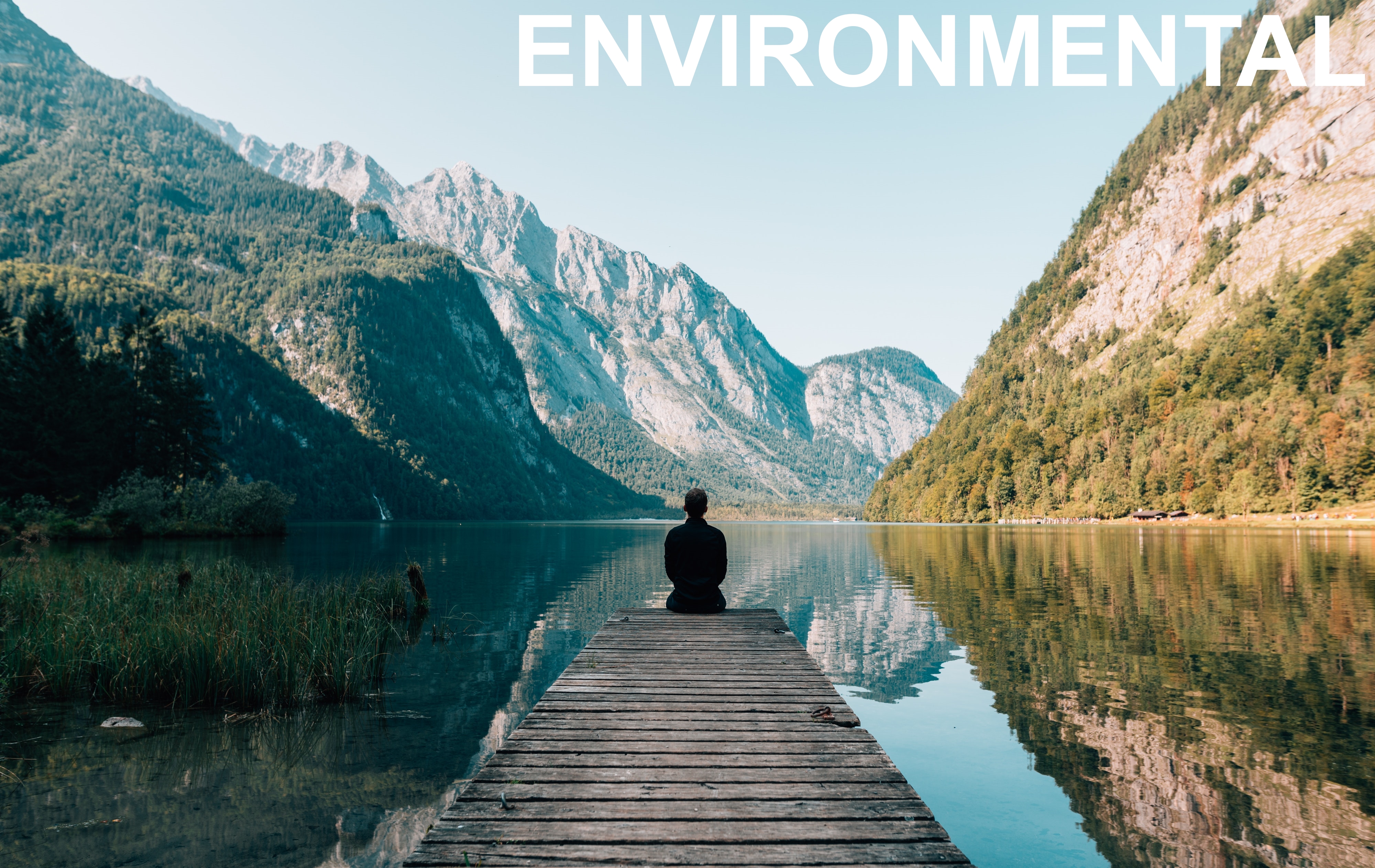 Environmental Wellness